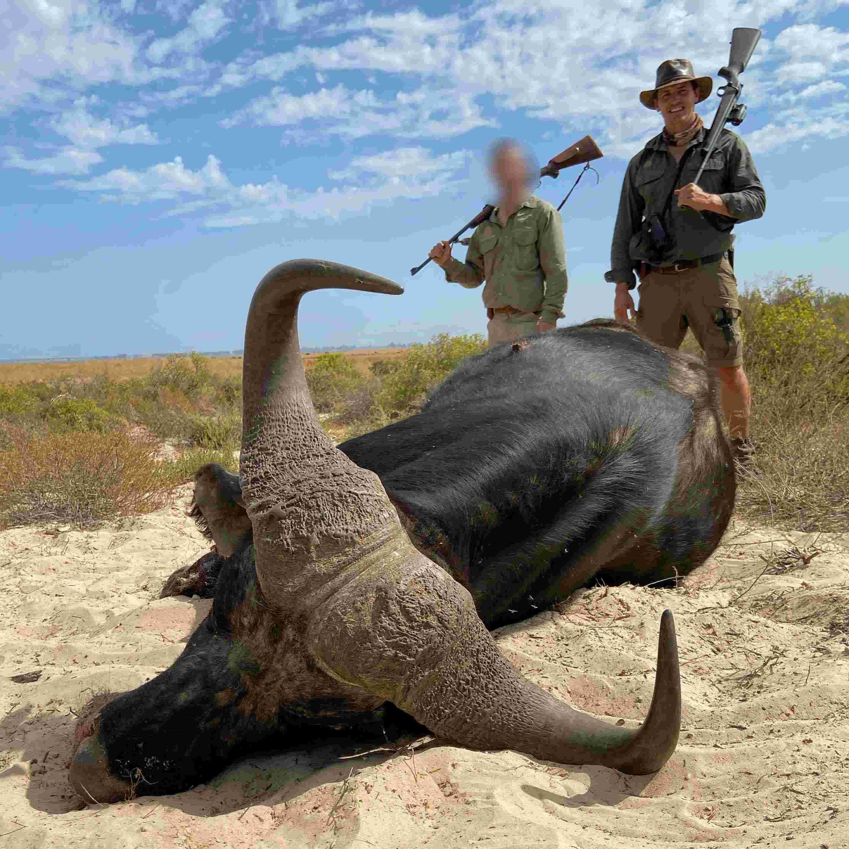 Cape buffalo hunt in the grasslands of the northern Eastern Cape 