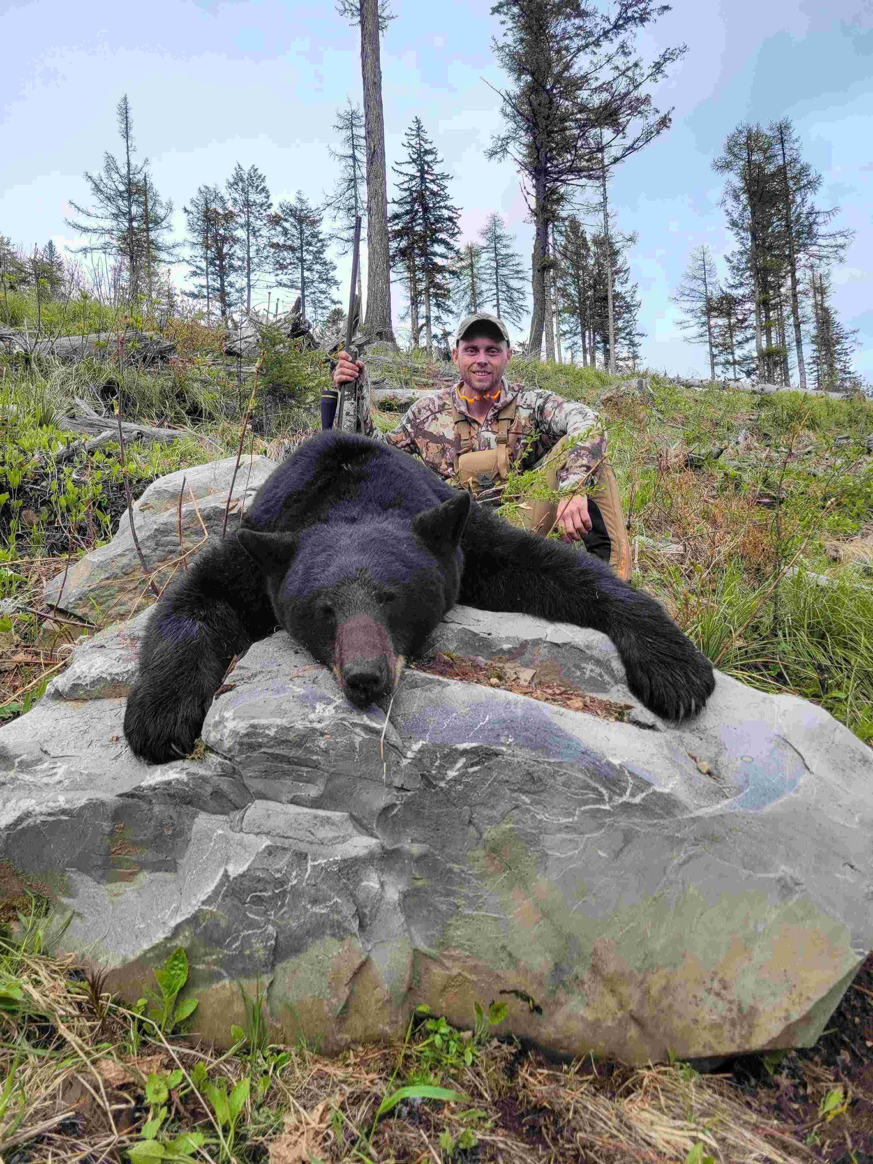 Big Mountain Black Bears