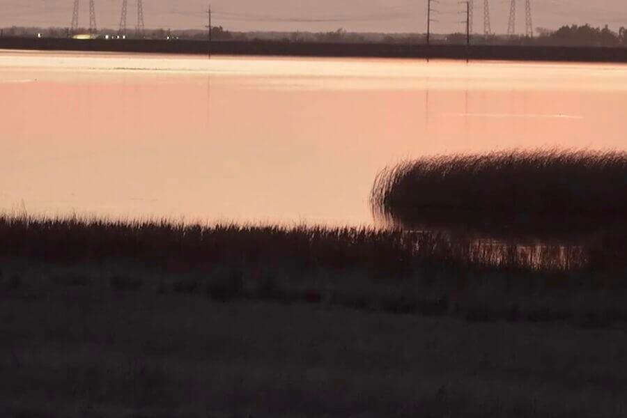 experience_image_30